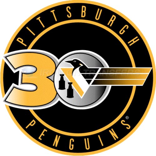 Pittsburgh Penguins Iron-on Stickers (Heat Transfers)NO.305